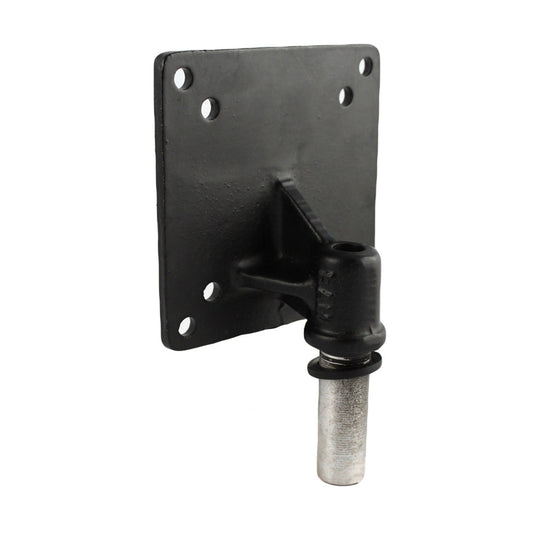 RAM® 100x100mm VESA Plate with 1/2" NPT Post (RAM-246PU)