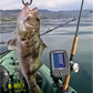 RAM 1" Ball Marine Electronic "LIGHT USE" Mount for Humminbird Matrix and Lowrance (RAM-B-107U)